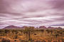 Kata Tjuta - The Olgas